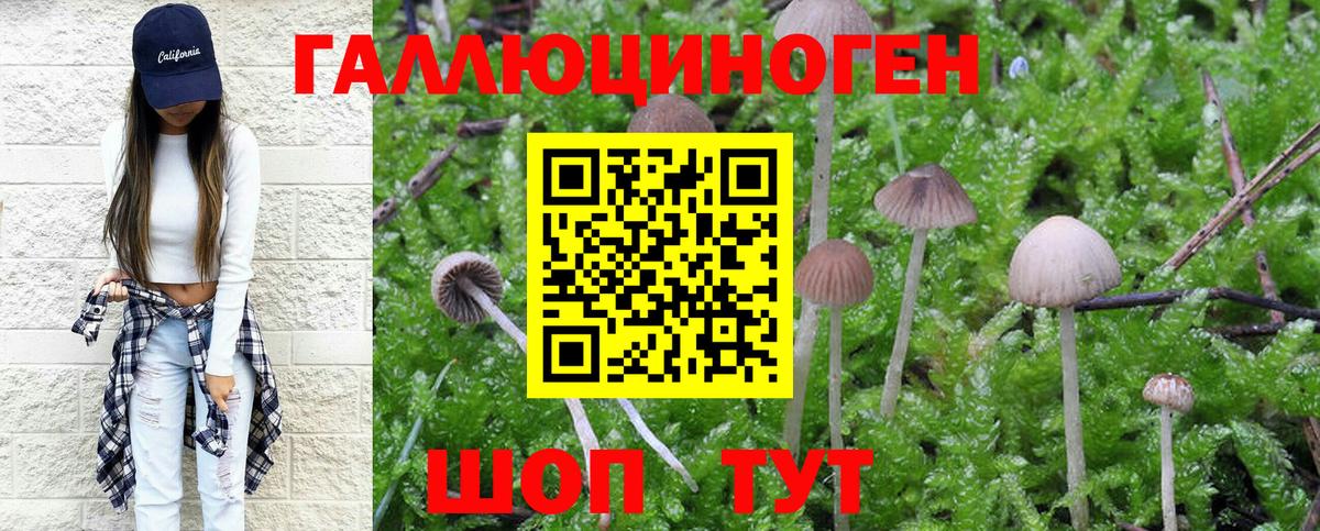 Псилоцибиновые грибы GOLDEN TEACHER Котельники