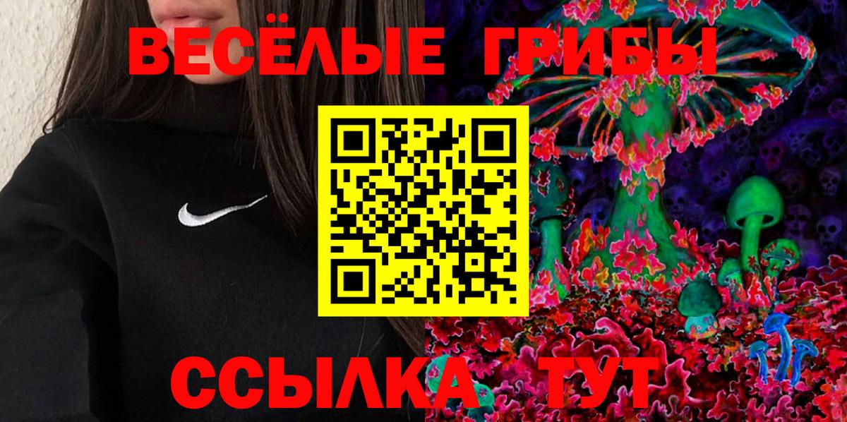 Галлюциногенные грибы MAGIC MUSHROOMS  Вход с VPN  Котельники  Псилоцибиновые грибы прущие грибы 